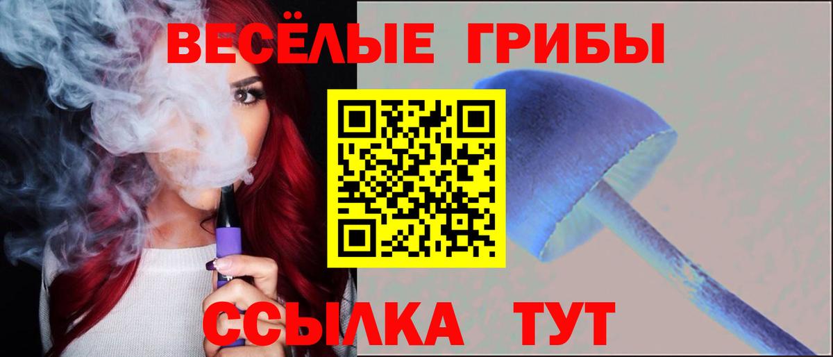 Псилоцибиновые грибы Cubensis  Вход с VPN  Ахтубинск 